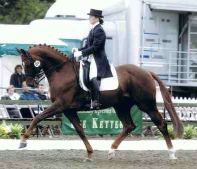 Suzanne Lavandera - British Dressage Rider